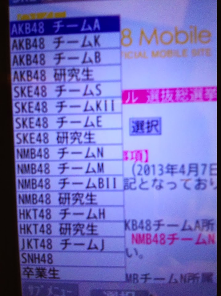 チームリスト